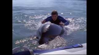 Free Willy 3: The Rescue (1997) Video