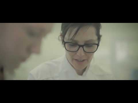download lagu mp3 mp4 Pavlna Svtek, download mp3 Pavlna Svtek free download, download mp3 Pavlna Svtek