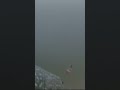 Video Thumbnail for Auto Jigging For Northern Pike