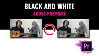 Tips - Cara Mudah Gunakan Effect Black and White Gunakan Adobe Premiere, Satu menit Jadi