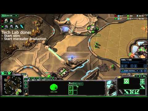 Starcraft 2: Legacy of the Void - TvP Stim Timing Build Order.