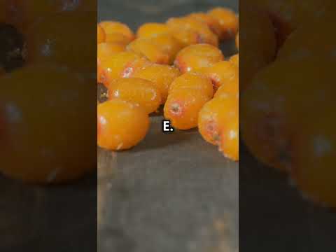 Seabuckthorn Original Fruit Pulp