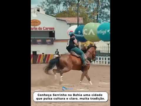 SERRINHA (BA) PULSA CULTURA E TRADIÇÃO - 02/26