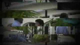 VOY  A BRINDAR  POR TI