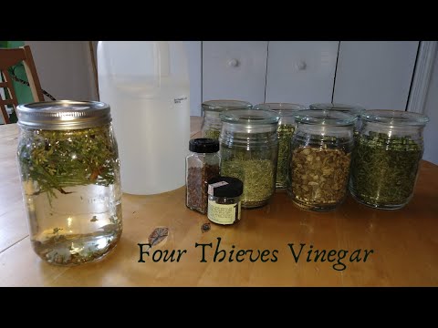 Green Witchcraft- Making Four Thieves Vinegar cleanser