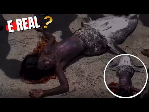 , title : 'Sereia e encontrada em Angola e parece real o vídeo esta chocar o mundo'