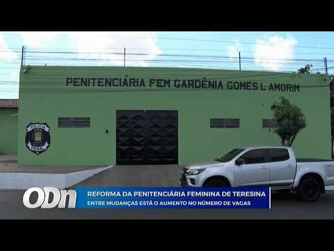 O Dia TV