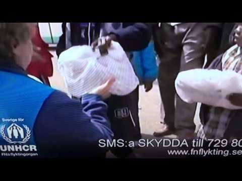 Skäms UNHCR-tiggare - 30 miljarder gratis per år!