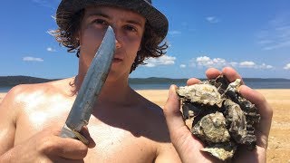Collecting & Eating Fresh Oysters (Cast Netting & Spearfishing)