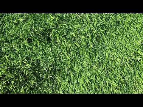 20180803 nuovo campo Robur