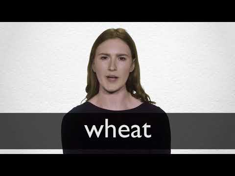 How to pronounce WHEAT in British English