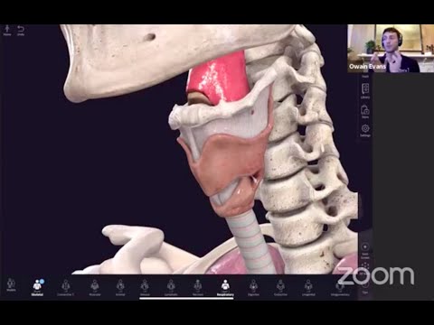 How Do We Sing - The Anatomy Of A Singer Webinar