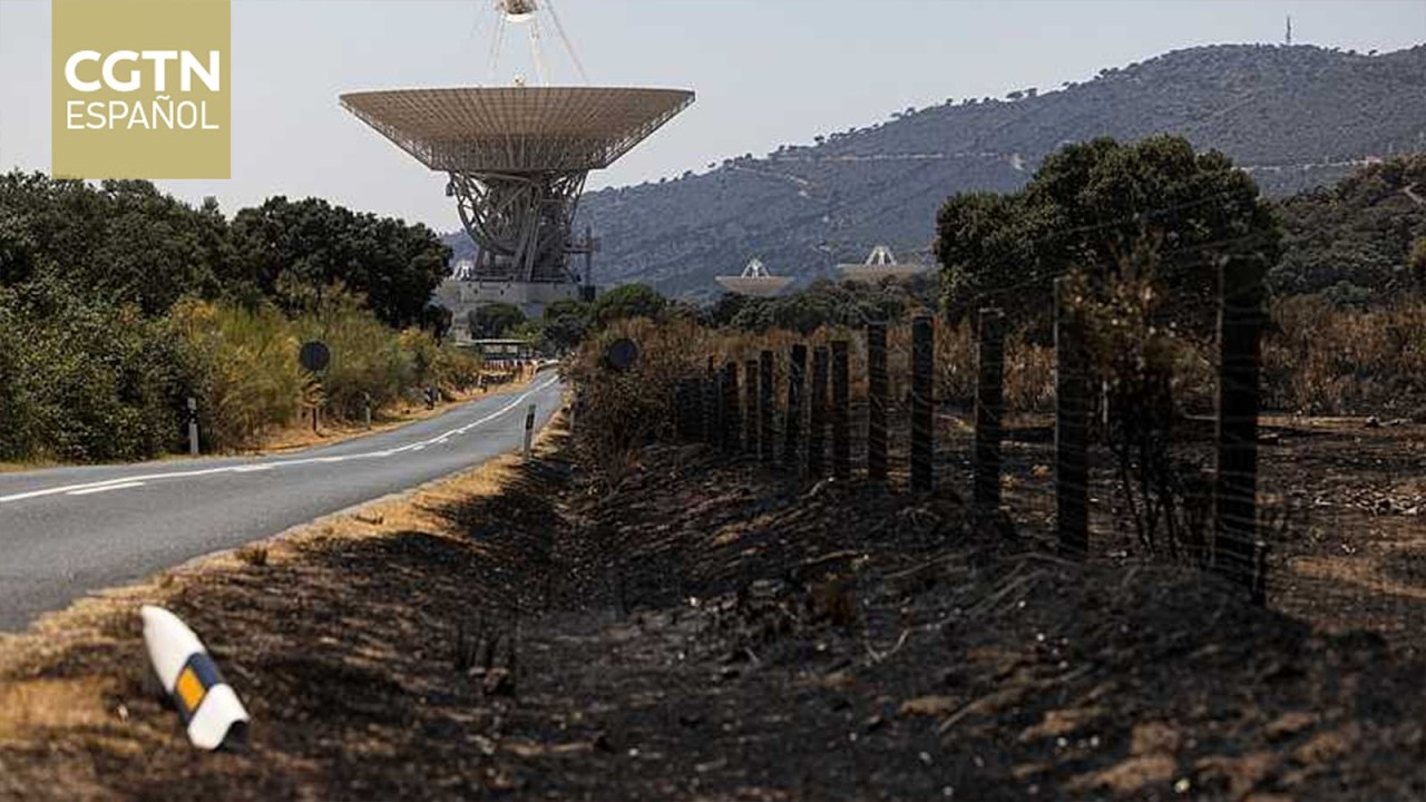 Incendios forestales dejan graves daños en la Comunidad de Madrid