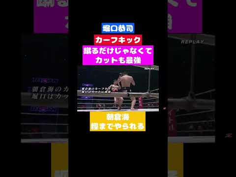 堀口恭司　カーフキックのカットで朝倉海の脛を破壊#shorts #rizin #切り抜き #きりぬき #堀口恭司 #bellator #朝倉海