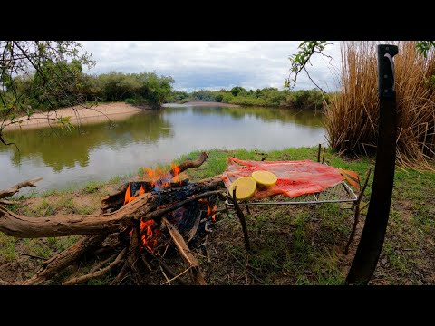 Este Arroyo es IMPRESIONANTE, Pesca y Cocina, Dorado Asado a la Parrilla, Pesca De Barrio
