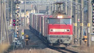 列車番号4060　EF510-22　羽越本線（村上～岩船町）60P　19/03/02