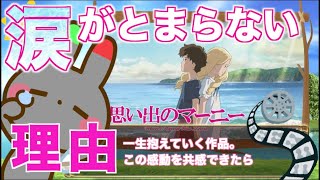 【孤独を抱える者の理想】金曜ロードショーで見てから涙が止まらない、なぜなのか理由を考える【思い出のマーニー】