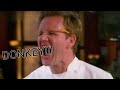 Gordon Ramsay Donkey Compilation