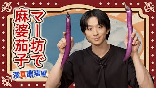 【澤夏の好物をついに収獲!】採れたてマー坊を使って絶品麻婆茄子作り!