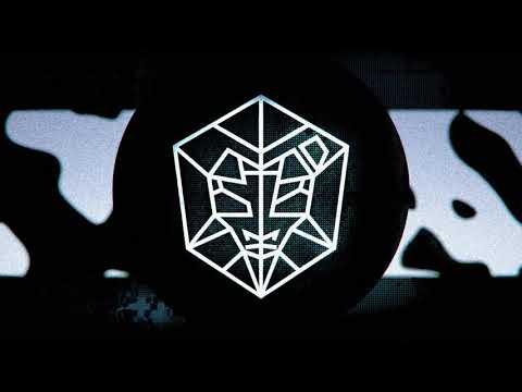 Dubvision vs Martin Garrix - Ocean x Backlash