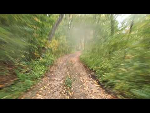 Coy Hill Rd 10/7/2018