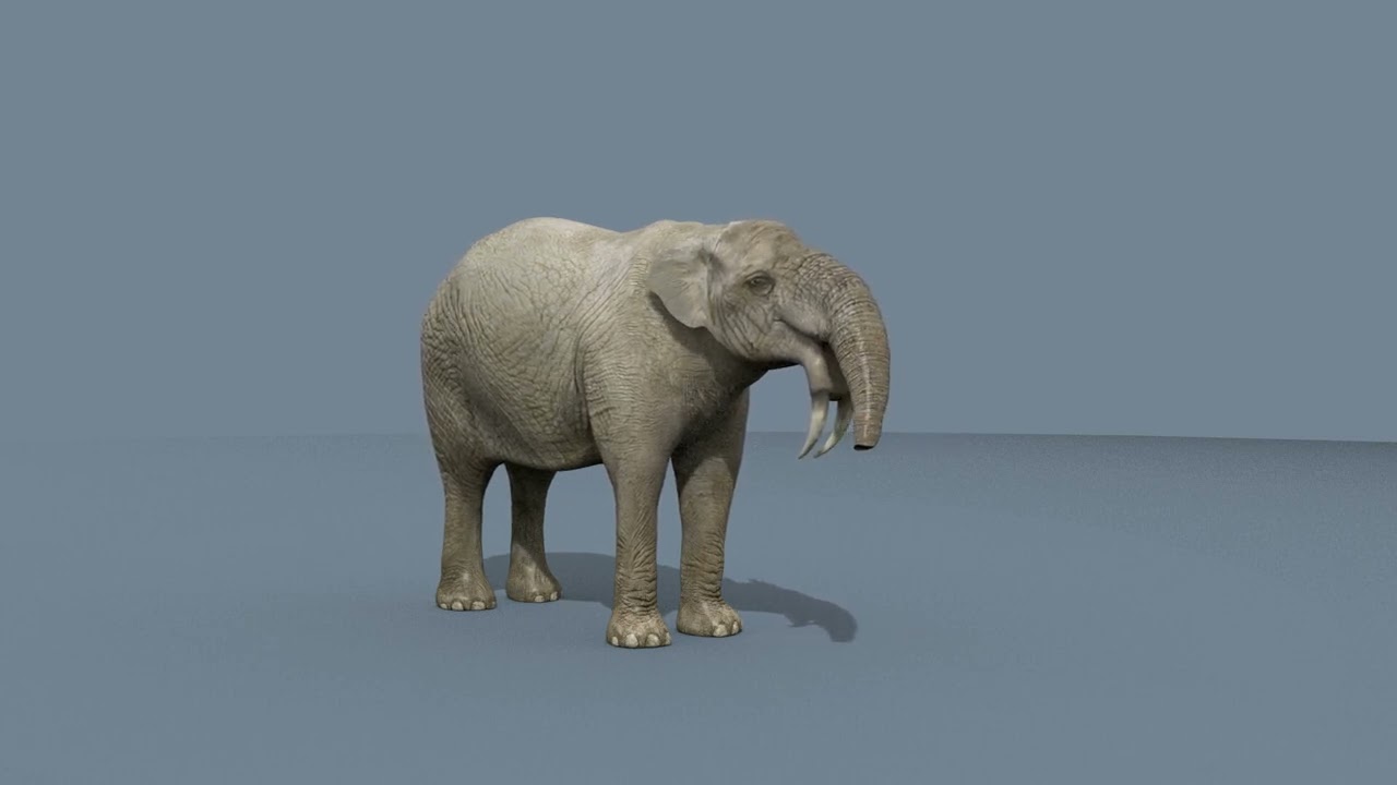 Deinotherium Thraceiensis HD - animazione 3D Modello 3D