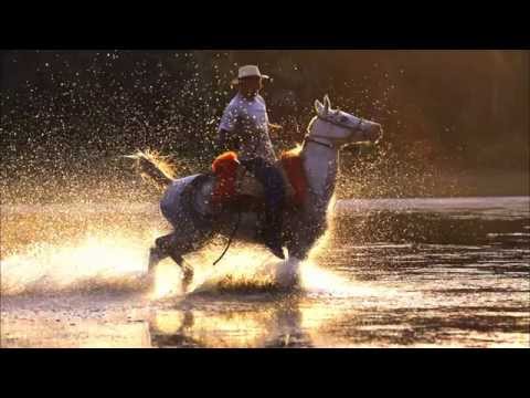 T2E Pantanal Horse Race HD 720p streaming