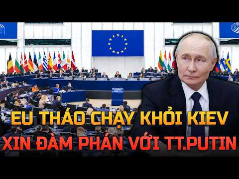 Châu Âu hoảng loạn tháo chạy: Đua nhau săn tìm nhà đàm phán với Tổng thống Putin