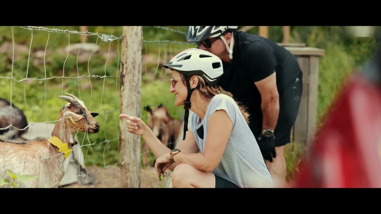 13 EXP VAE 1000 etangs