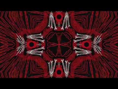 DOLLAR LLAMA - "NOISECREEP" OFFICIAL LYRIC VIDEO