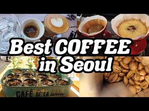 download lagu mp3 mp4 Third Wave Coffee Source, download lagu Third Wave Coffee Source gratis, unduh video klip Third Wave Coffee Source