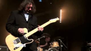 ChilliDogs Monkey  Blois 2014 Dr Feelgood tribute