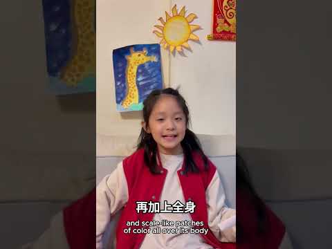 國小中年級中文組潛力獎-2024六福永續獎: 最佳人氣影片