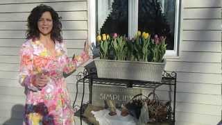 Tulips at My Window Plant Stand