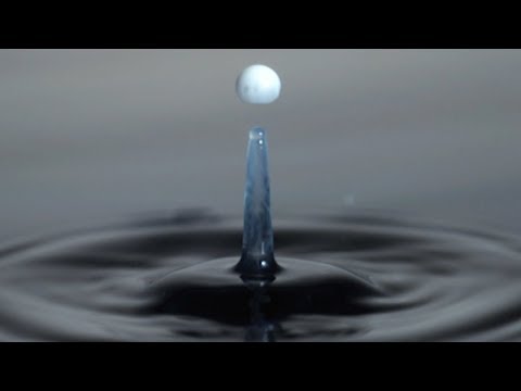 What is Surface Tension? | Richard Hammond's Invisible Worlds | Earth Science