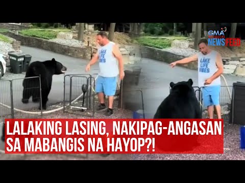 Lalaking lasing, nakipag-angasan sa mabangis na hayop?! GMA Integrated Newsfeed
