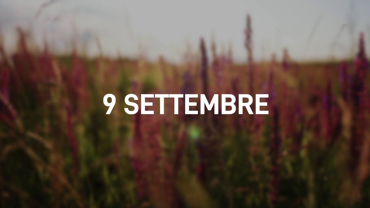 9 Settembre 2025 | Meditazione Parole di Vita