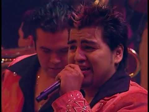 Banda El Recodo - Mi Gusto Es / El Sauce y la Palma / El Sinaloense (En Vivo / 2003)