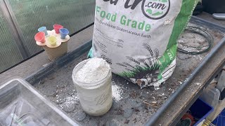 Diatomaceous Earth ￼Work for My Pill Bug Infestation