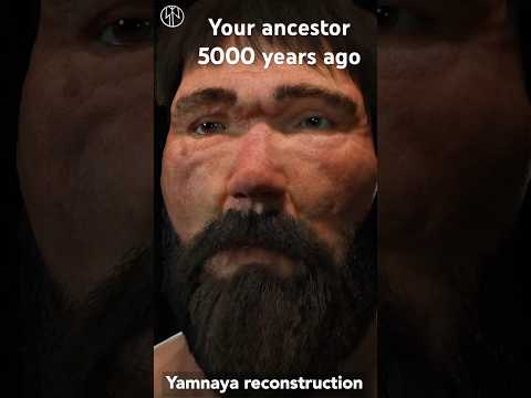 What did Yamnaya look like? Proto-Indo-Europeans
