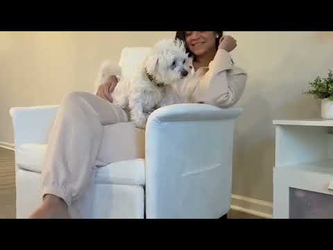 Convertible Sleeper Chair w/Adjustable Backrest and Pillow for Living Room & Small Space