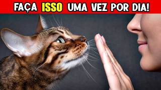 Faça essas 6 Coisas diariamente!  Como os gatos sabem se você ama eles! 😻