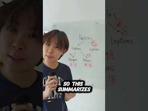 Classifying Particles into a Family Tree - A Level Physics