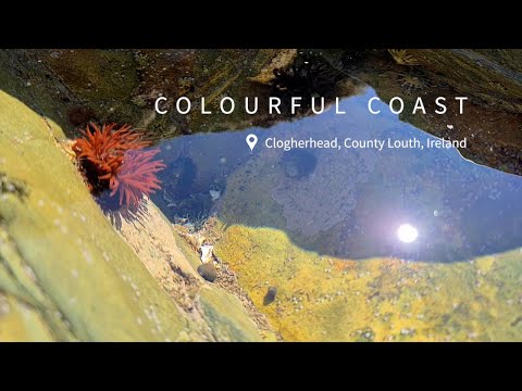 Colourful Coast | Clogherhead