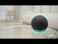 Dulkių siurblys - robotas Dreame Z10 Pro, Juodas