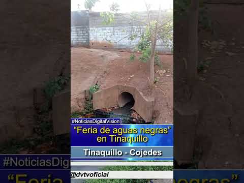 "Feria de aguas negras" en Tinaquillo  #digitalvision #venezuela #envideo #cojedes