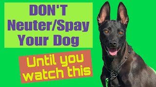 Don’t Neuter/Spay your Dog until you watch this.
