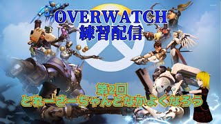 【地】第2回　OverWatch　練習配信　DPS(トレーサー編)【獄】