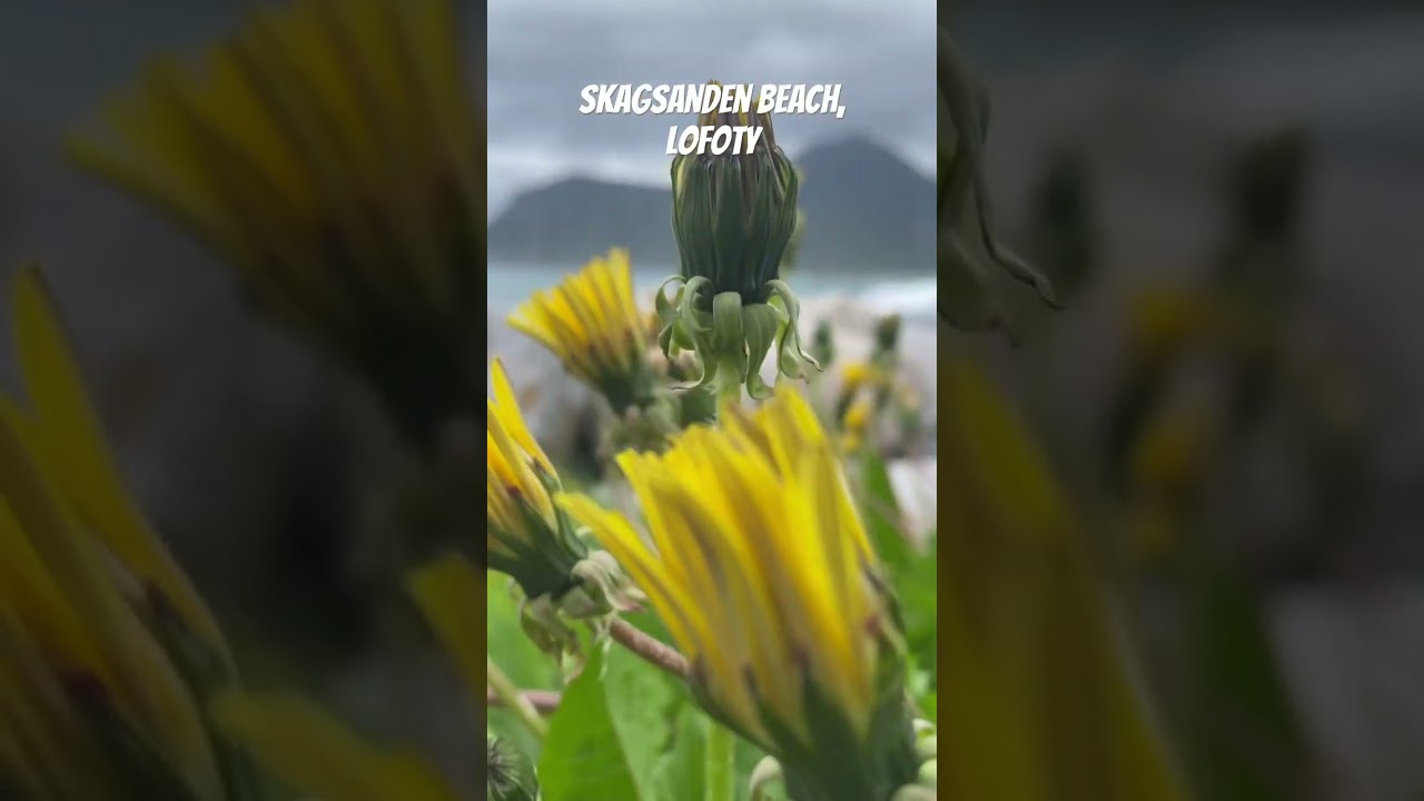 YouTube Short thumbnail