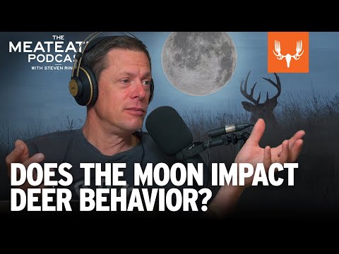 Does the Moon Impact Deer Behavior? | The MeatEater Podcast Ep. 783